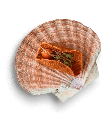 home-food4 home-food4